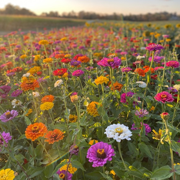 Meet your Posher, Melanie - Picture 11 of 16